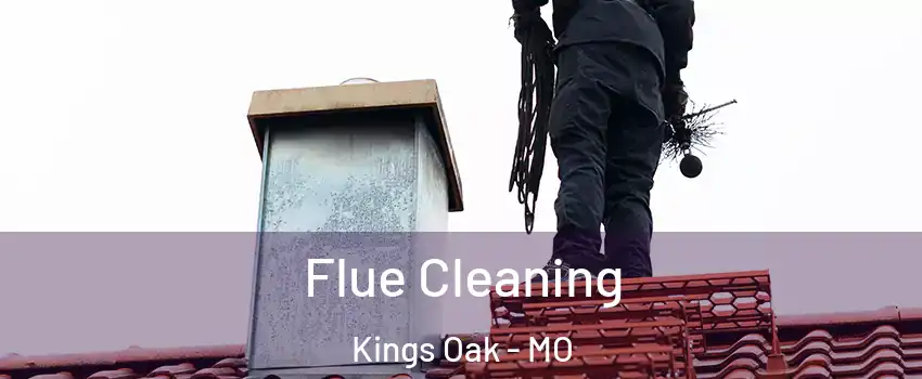 Flue Cleaning Kings Oak - MO