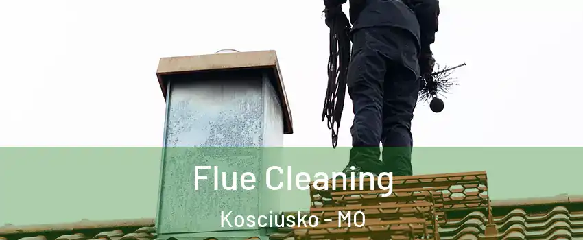 Flue Cleaning Kosciusko - MO