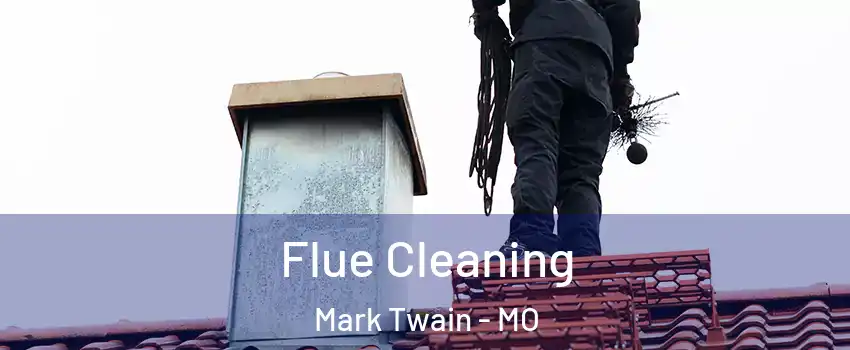 Flue Cleaning Mark Twain - MO