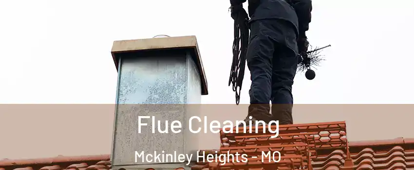 Flue Cleaning Mckinley Heights - MO