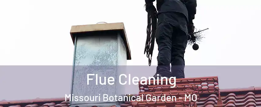 Flue Cleaning Missouri Botanical Garden - MO