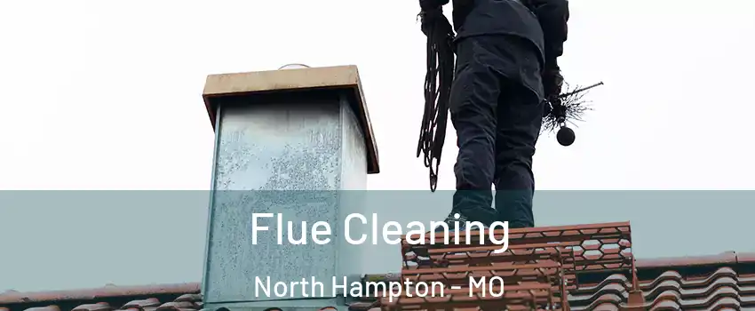 Flue Cleaning North Hampton - MO