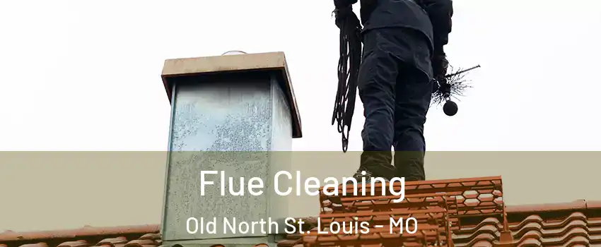 Flue Cleaning Old North St. Louis - MO