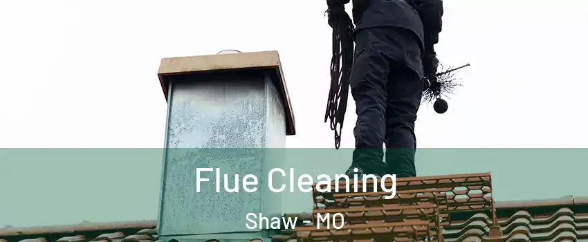 Flue Cleaning Shaw - MO