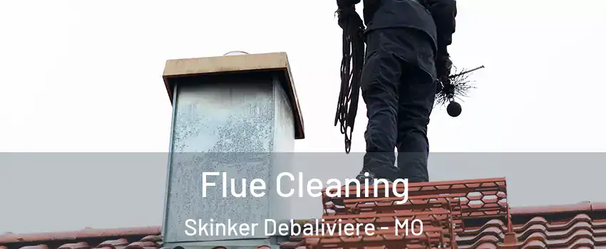 Flue Cleaning Skinker Debaliviere - MO