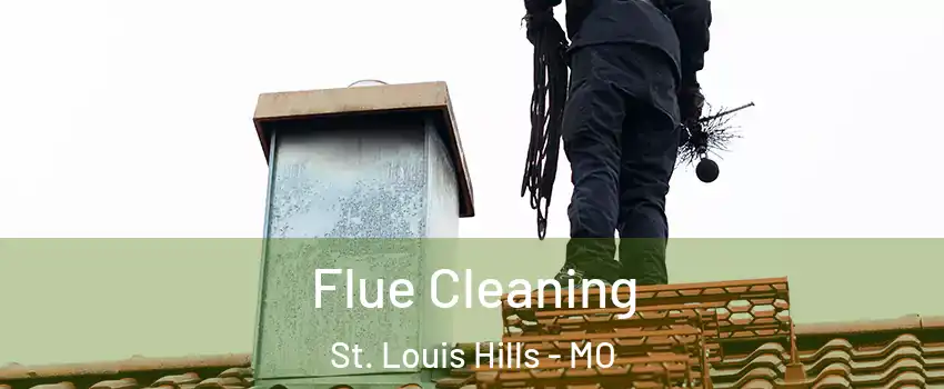 Flue Cleaning St. Louis Hills - MO