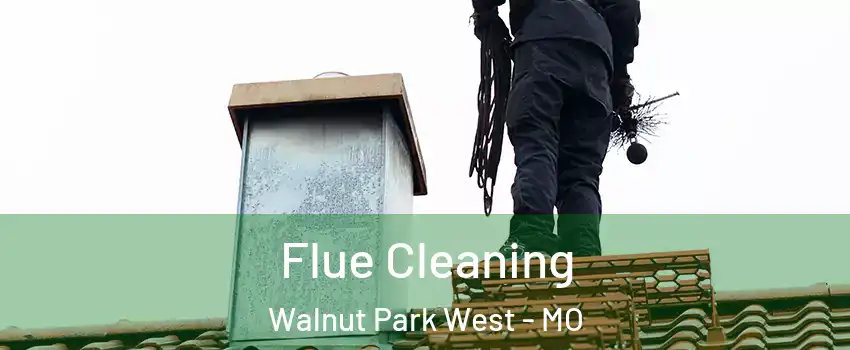 Flue Cleaning Walnut Park West - MO