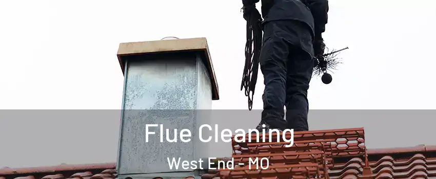 Flue Cleaning West End - MO