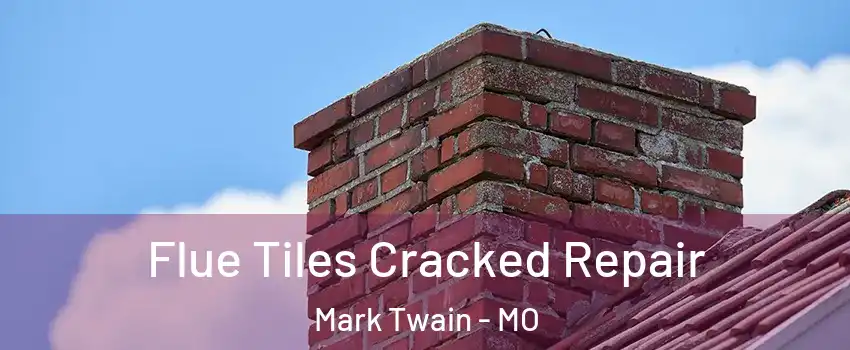 Flue Tiles Cracked Repair Mark Twain - MO