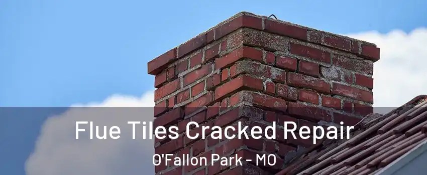 Flue Tiles Cracked Repair O'Fallon Park - MO