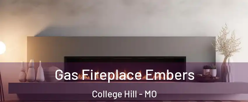 Gas Fireplace Embers College Hill - MO