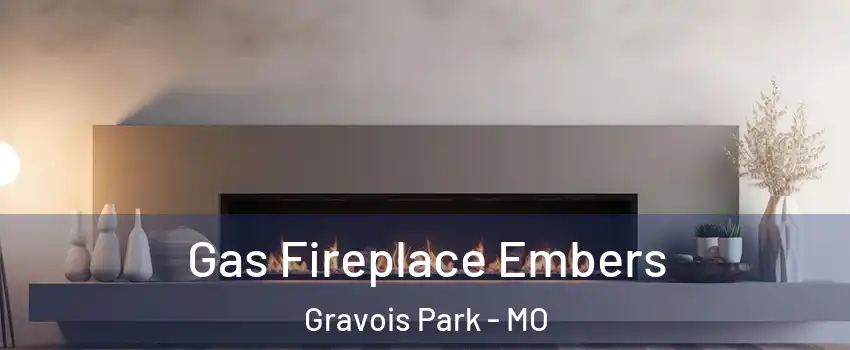 Gas Fireplace Embers Gravois Park - MO