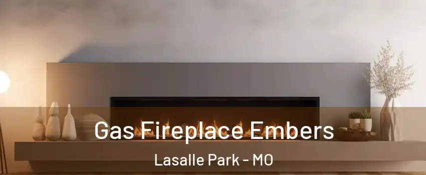 Gas Fireplace Embers Lasalle Park - MO