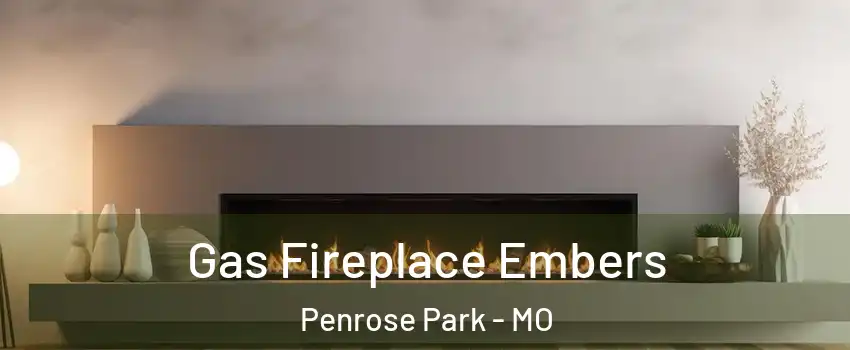 Gas Fireplace Embers Penrose Park - MO