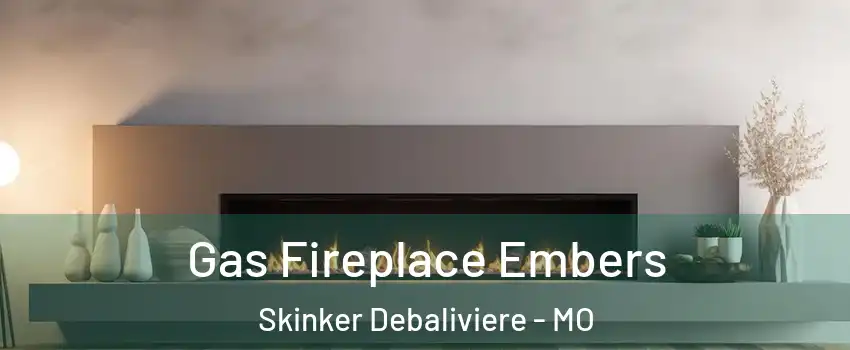 Gas Fireplace Embers Skinker Debaliviere - MO