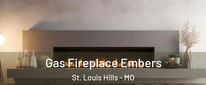Gas Fireplace Embers St. Louis Hills - MO