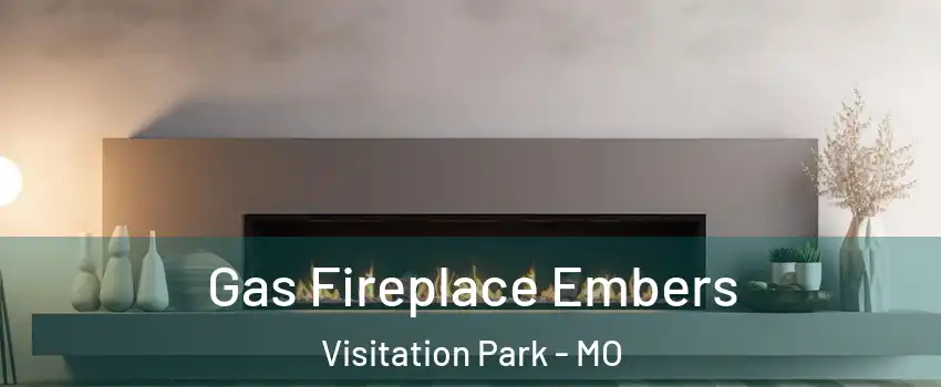 Gas Fireplace Embers Visitation Park - MO