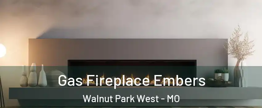 Gas Fireplace Embers Walnut Park West - MO