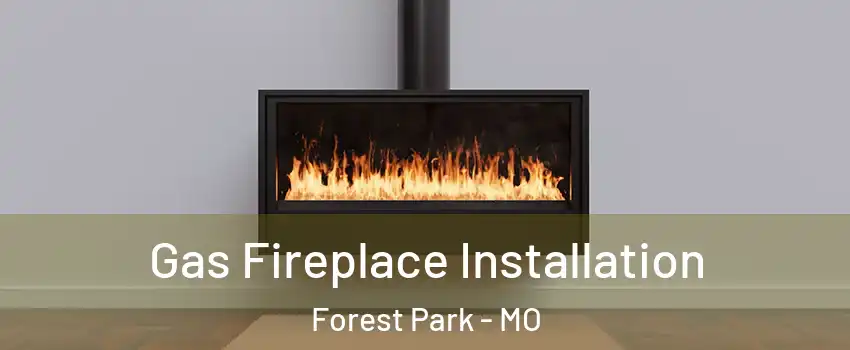 Gas Fireplace Installation Forest Park - MO