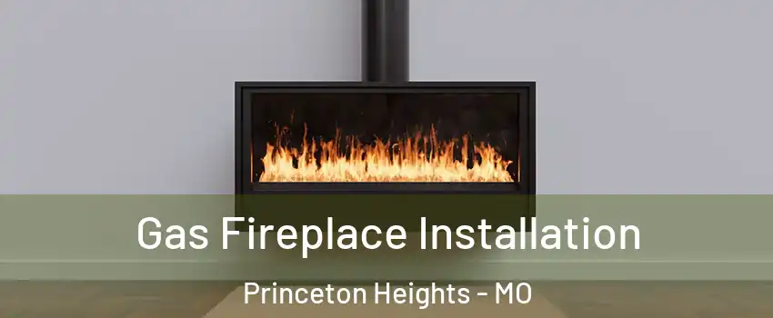 Gas Fireplace Installation Princeton Heights - MO