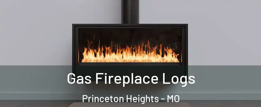 Gas Fireplace Logs Princeton Heights - MO