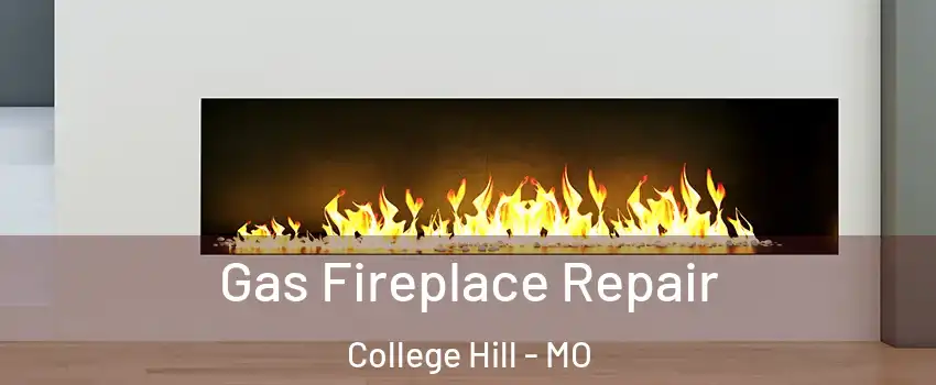 Gas Fireplace Repair College Hill - MO