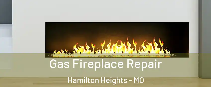 Gas Fireplace Repair Hamilton Heights - MO
