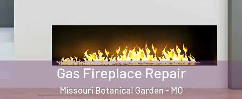 Gas Fireplace Repair Missouri Botanical Garden - MO
