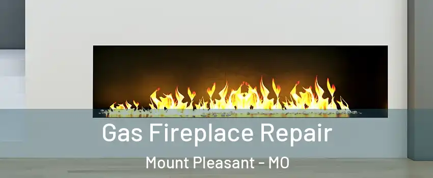 Gas Fireplace Repair Mount Pleasant - MO