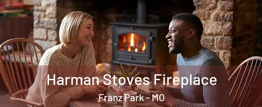 Harman Stoves Fireplace Franz Park - MO