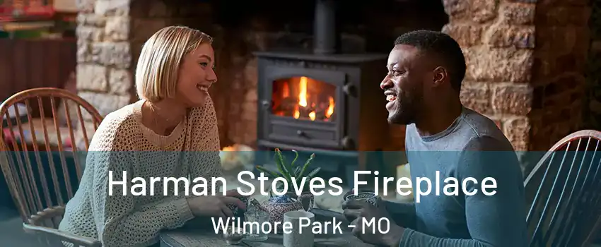 Harman Stoves Fireplace Wilmore Park - MO