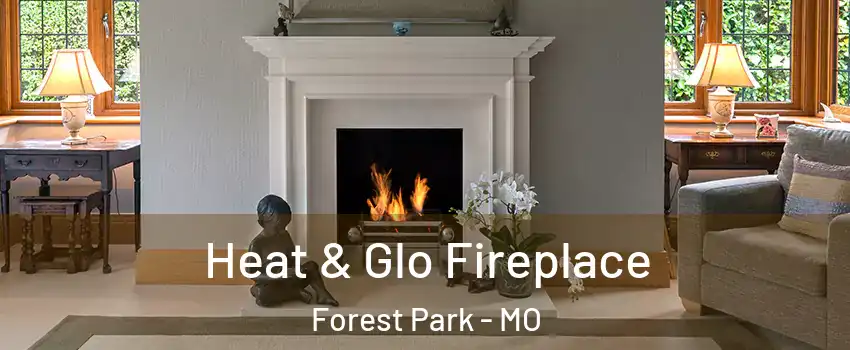 Heat & Glo Fireplace Forest Park - MO