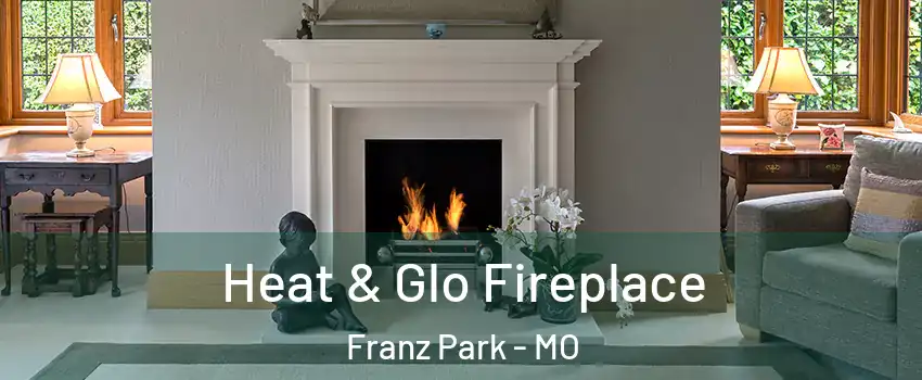 Heat & Glo Fireplace Franz Park - MO