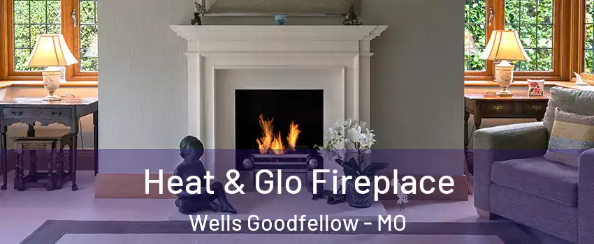 Heat & Glo Fireplace Wells Goodfellow - MO