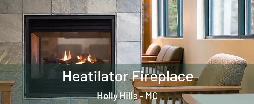 Heatilator Fireplace Holly Hills - MO