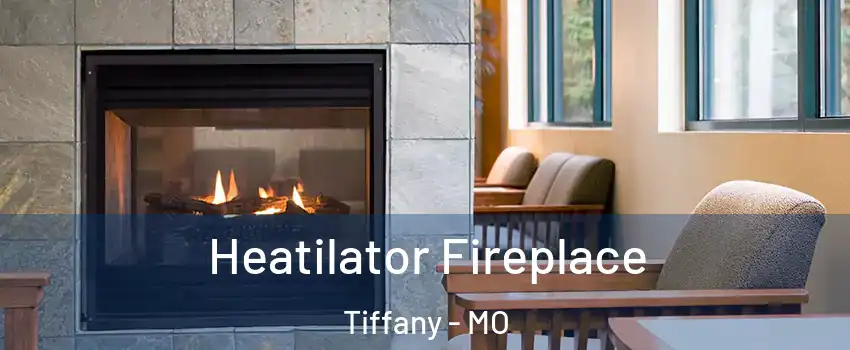 Heatilator Fireplace Tiffany - MO