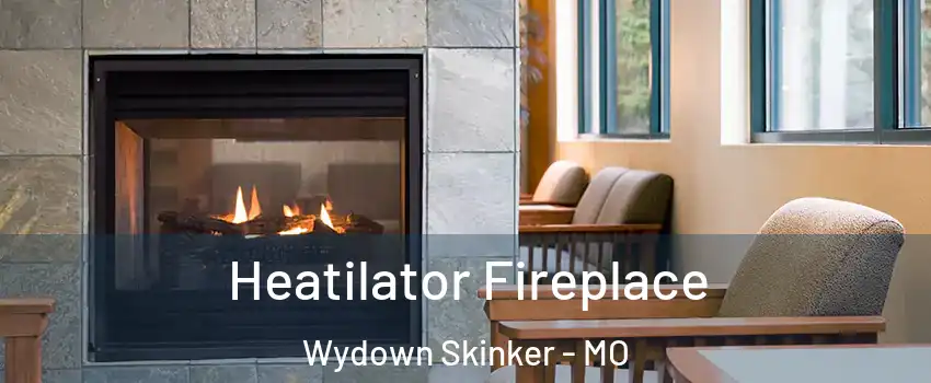 Heatilator Fireplace Wydown Skinker - MO
