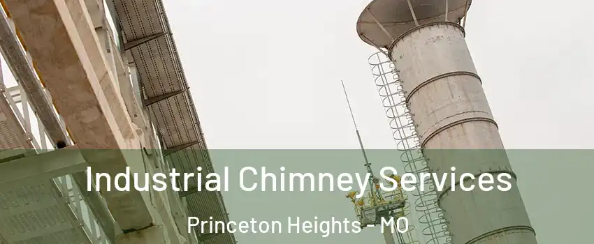 Industrial Chimney Services Princeton Heights - MO