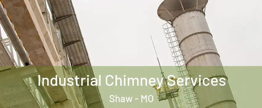 Industrial Chimney Services Shaw - MO