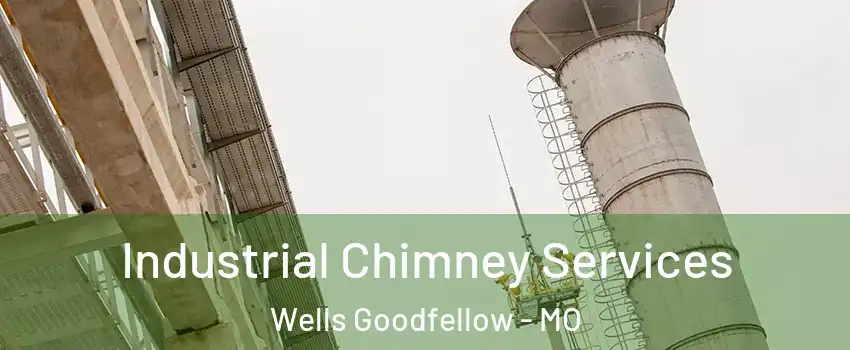Industrial Chimney Services Wells Goodfellow - MO