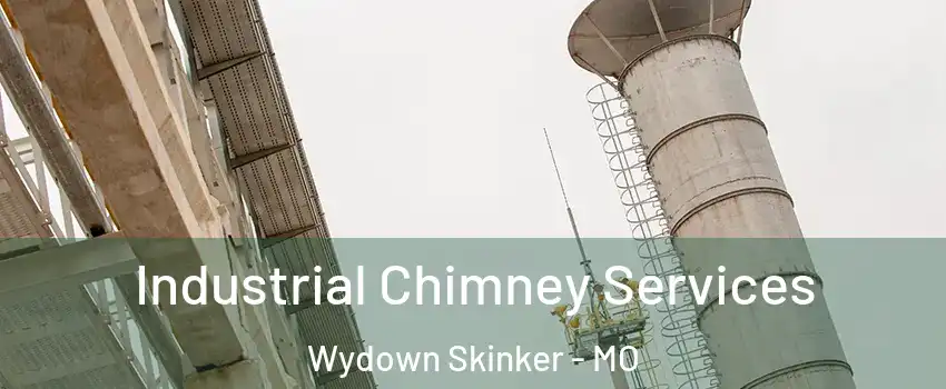 Industrial Chimney Services Wydown Skinker - MO