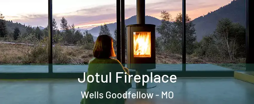 Jotul Fireplace Wells Goodfellow - MO