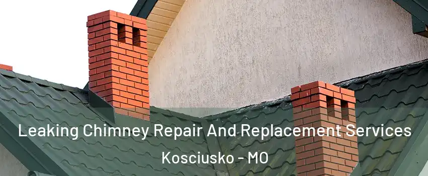 Leaking Chimney Repair And Replacement Services Kosciusko - MO