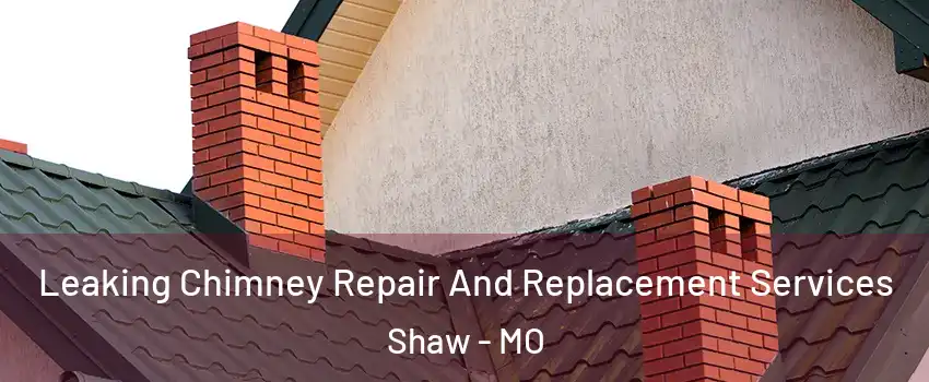 Leaking Chimney Repair And Replacement Services Shaw - MO