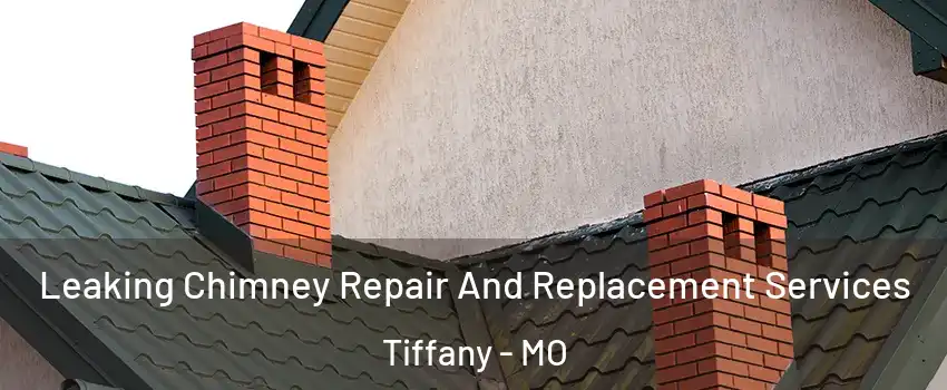 Leaking Chimney Repair And Replacement Services Tiffany - MO