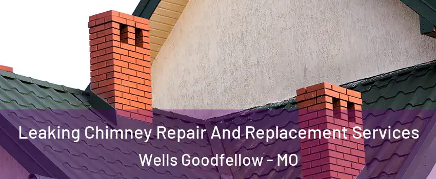 Leaking Chimney Repair And Replacement Services Wells Goodfellow - MO