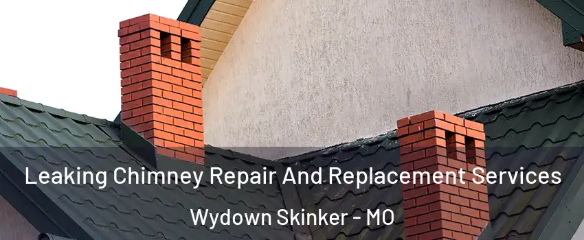 Leaking Chimney Repair And Replacement Services Wydown Skinker - MO