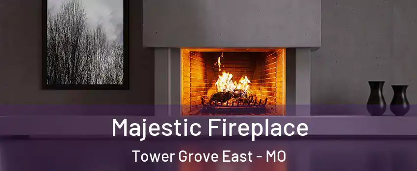 Majestic Fireplace Tower Grove East - MO