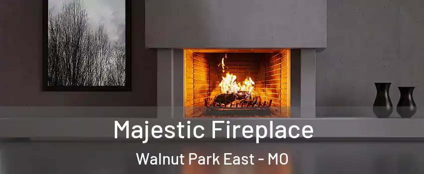Majestic Fireplace Walnut Park East - MO