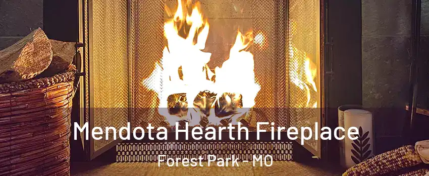 Mendota Hearth Fireplace Forest Park - MO